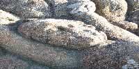 Les couleurs de la Bretagne en Ille-et-Vilaine aux rochers sculptés de Rothéneuf - Bretagne 35400